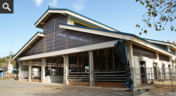 イメージ：飛騨高山高校山田校舎牛舎 1